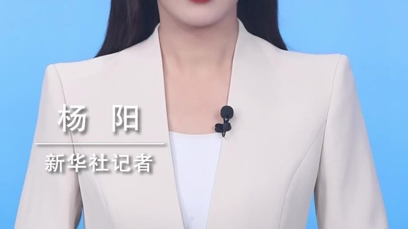 揭秘低代码平台：功能对比与选型指南